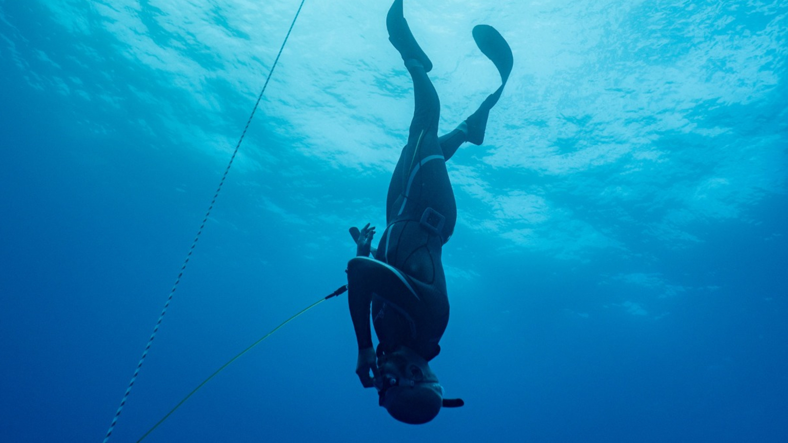 Thibo CWT dive in the blue